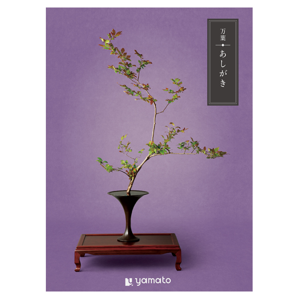 �J�^���O�M�t�g ���t ��������